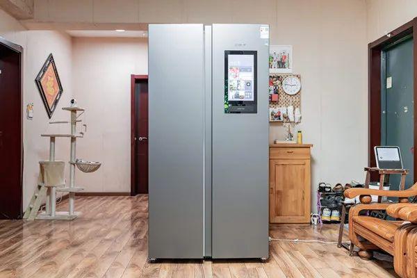 冰箱冷藏柜有蛐蛐的聲音是怎么回事呢？該怎么解決呢？